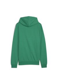 Bluza męska Puma Team Goal Casuals Hoody. Typ kołnierza: kaptur. Kolor: zielony #2