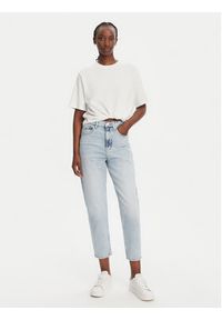 Tommy Jeans Jeansy DW0DW20656 Niebieski Mom Fit. Kolor: niebieski