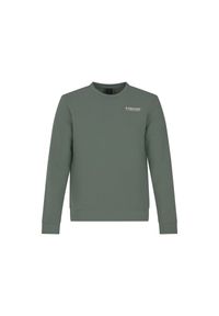 Bluza Protest Vito. Kolor: zielony #1