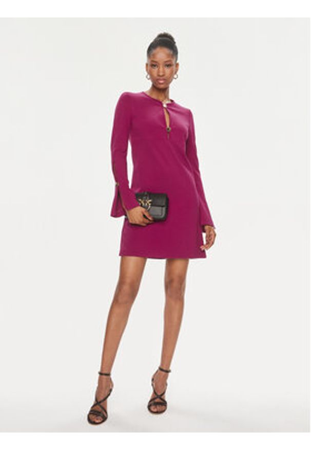 Pinko Sukienka codzienna Aquarios Abito . 101825 A15M Fioletowy Regular Fit. Okazja: na co dzień. Kolor: fioletowy. Materiał: wiskoza. Typ sukienki: proste. Styl: casual