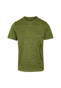 Regatta - T-shirt Męski Melanżowy Fingal Edition. Kolor: żółty, wielokolorowy, zielony. Wzór: melanż