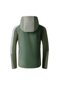 DARE 2B - Kurtka Dziecięca Thriving IV Fleece Jacket. Kolor: zielony. Sezon: zima. Sport: narciarstwo