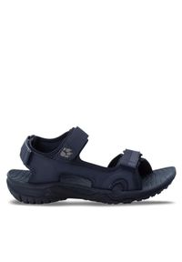 Jack Wolfskin Sandały Lakewood Cruise Sandal 4019011 Granatowy. Kolor: niebieski. Materiał: skóra