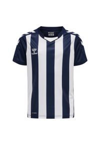 Koszulka dziecięca Hummel Striped. Kolor: niebieski, wielokolorowy, biały. Materiał: jersey