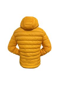 Puma Kurtka Winter 53885777. Kolor: żółty