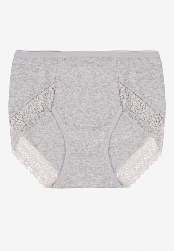 Renee - Szare Bawełniane Majtki Figi Zdobione Koronką Idilene. Kolekcja: plus size. Kolor: szary. Materiał: koronka, bawełna. Wzór: koronka, aplikacja