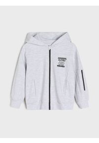 Sinsay - Bluza z kapturem z kieszenią na rękawie - szary. Typ kołnierza: kaptur. Kolor: szary