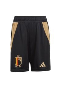 Adidas - Szorty Belgium 24 Home Kids. Kolor: czarny. Materiał: materiał. Sport: piłka nożna
