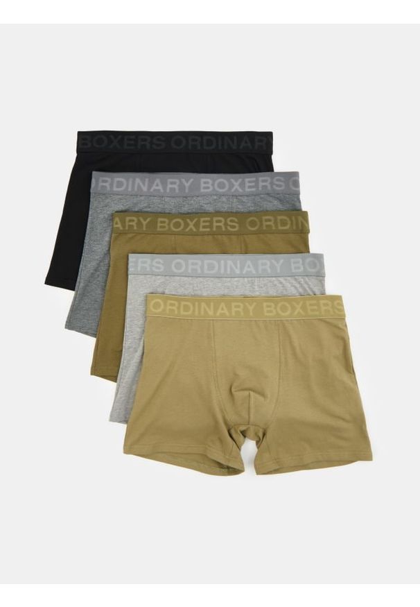 Sinsay - Bokserki 5 pack - wielobarwny