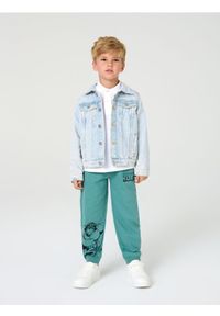 Sinsay - Spodnie dresowe Hulk - zielony. Kolor: zielony. Materiał: dresówka