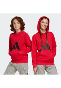 Bluza Adidas Sport J Bl Ft Hd 280 Dzieci. Kolor: czerwony, wielokolorowy, czarny. Sport: joga i pilates