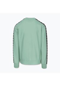 PITBULL - Bluza męska Pitbull Tape Nugget Crewneck Sweatshirt. Kolor: zielony