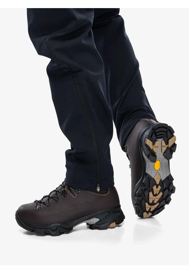 Buty trekkingowe damskie Zamberlan Vioz GTX. Kolor: brązowy. Styl: sportowy