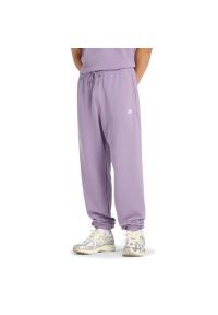 Spodnie męskie New Balance MP41519AA5 - fioletowe. Kolor: fioletowy. Materiał: bawełna, dresówka, poliester. Wzór: haft #1