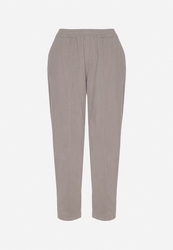 Born2be - Szare Klasyczne Spodnie z Bawełny z Wysokim Stanem Isesi. Okazja: na co dzień. Stan: podwyższony. Kolor: szary. Materiał: bawełna. Styl: klasyczny