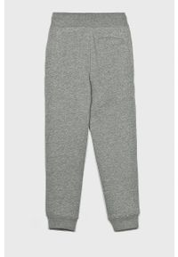 Polo Ralph Lauren - Spodnie dziecięce 134-176 cm 323720897004. Kolor: szary #2