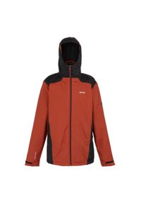 Regatta - Kurtka ocieplana męska Thornridge II. Typ kołnierza: kaptur. Kolor: czarny, czerwony, wielokolorowy. Sezon: jesień #1