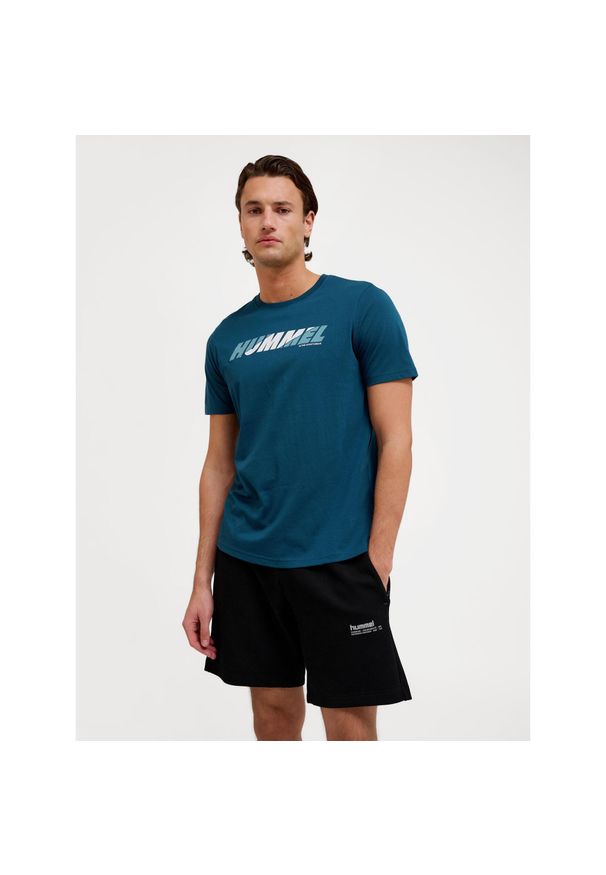 Koszulka z logo Hummel Graphic. Kolor: niebieski, wielokolorowy, zielony. Materiał: bawełna. Sport: fitness, piłka nożna