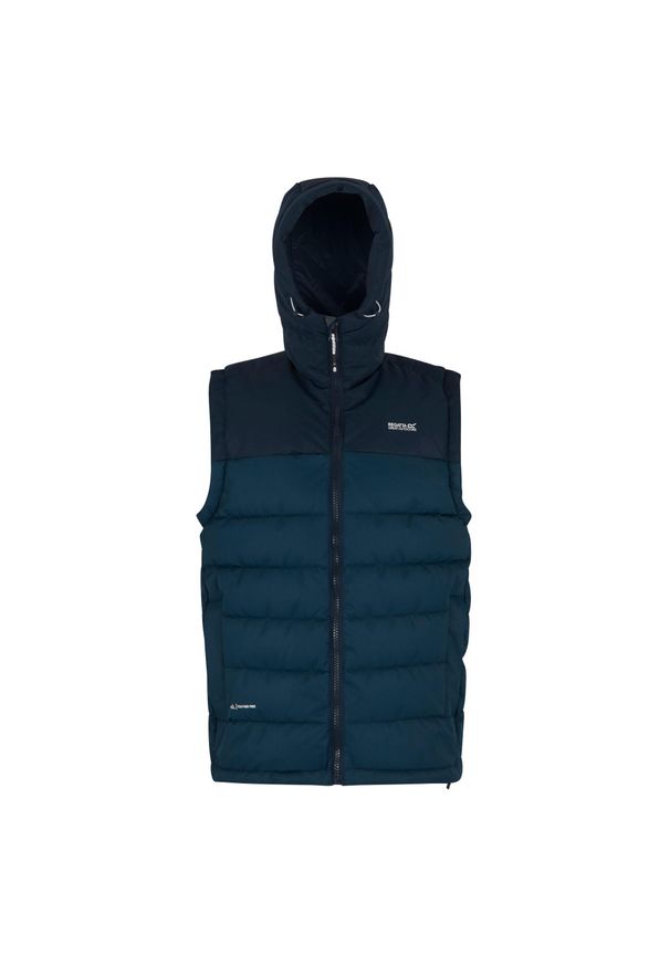 Regatta - Męski Ogrzewacz Do Ciała Aldthorn. Kolor: wielokolorowy, niebieski, żółty. Styl: sportowy. Sport: turystyka piesza