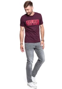 Mustang - MUSTANG T SHIRT Alex C Print WINETASTING 1008654 8355. Wzór: nadruk #8