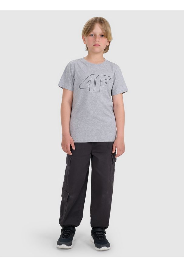 4f - 4F T-shirt regular z nadrukiem chłopięcy - szary 152 (11-12 lat). Okazja: na co dzień. Kolor: szary. Materiał: bawełna, materiał, jersey. Długość rękawa: krótki rękaw. Długość: krótkie. Wzór: nadruk. Sezon: lato. Styl: klasyczny, młodzieżowy, sportowy, casual