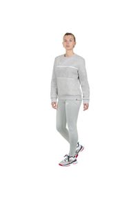 TECNIFIBRE - Legging kobieta Tecnifibre Team. Kolor: szary. Sport: tenis, fitness