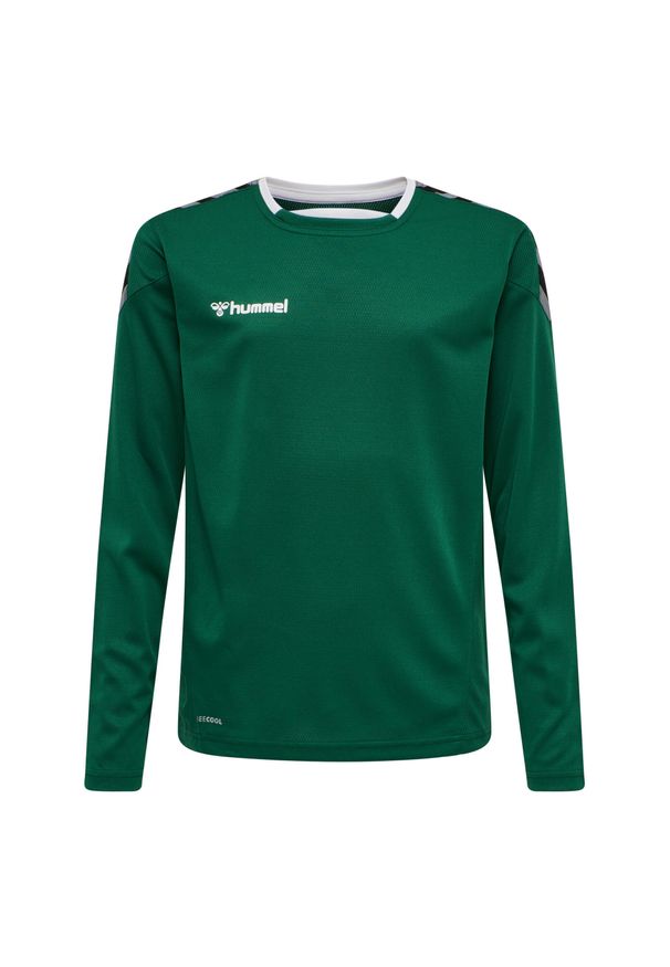 Dziecięcy dżersej z długim rękawem Hummel hmlAUTHENTIC poly. Kolor: zielony. Materiał: jersey. Długość rękawa: długi rękaw. Długość: długie. Sport: fitness, piłka ręczna
