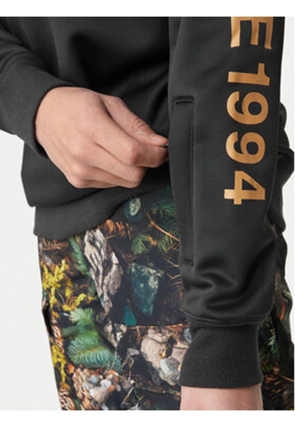 DC Shoes Bluza Dryden ADYFT03440 Brązowy Regular Fit. Kolor: brązowy. Materiał: syntetyk