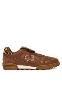 Sneakersy Coach. Kolor: brązowy