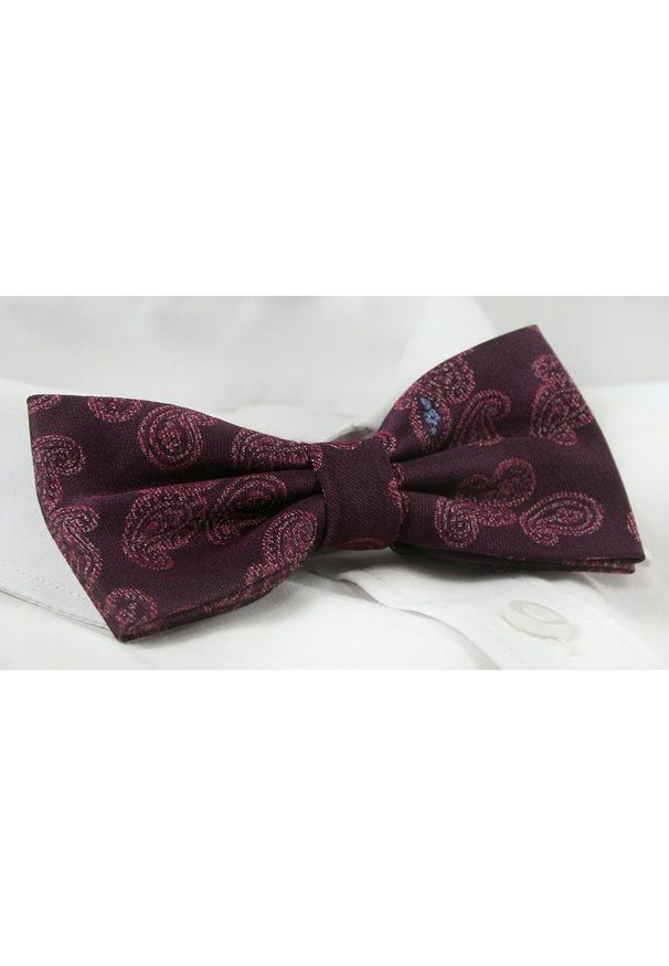 Mucha Męska z Poszetką Alties - Bordo, Wzór Paisley. Kolor: czerwony. Wzór: paisley. Styl: sportowy, elegancki