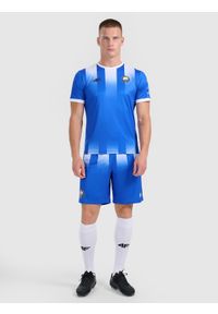 4f - 4F Koszulka klubowa wyjazdowa z sezonu 2025/26 męska 4F x Stal Mielec - niebieska M. Okazja: do domu. Kolor: niebieski. Materiał: włókno, dzianina. Długość: długie. Wzór: gradientowy. Styl: klasyczny, sportowy