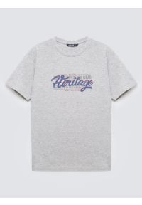 Big-Star - Koszulka męska z nadrukiem szara Keren 902. Kolor: szary. Materiał: bawełna. Wzór: nadruk #1