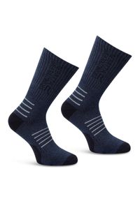 Regatta - Skarpety męskie Bamboo 2-pak. Kolor: niebieski. Materiał: tkanina, wiskoza. Sport: turystyka piesza #1