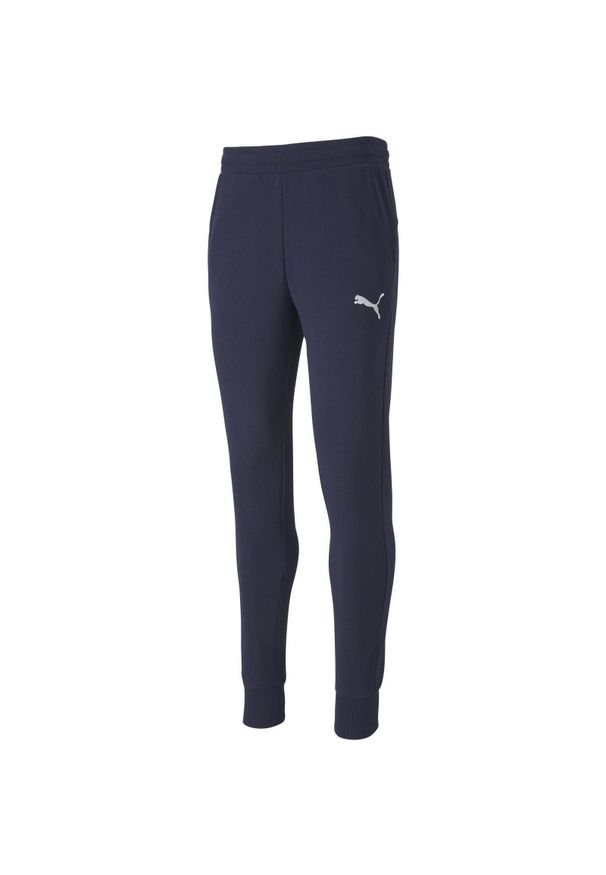 Spodnie piłkarskie męskie Puma teamGOAL 23 Casuals Pants. Kolor: niebieski. Sport: piłka nożna
