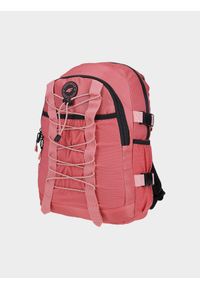 4f - Plecak szkolny (12 L) dziecięcy. Kolor: różowy #1
