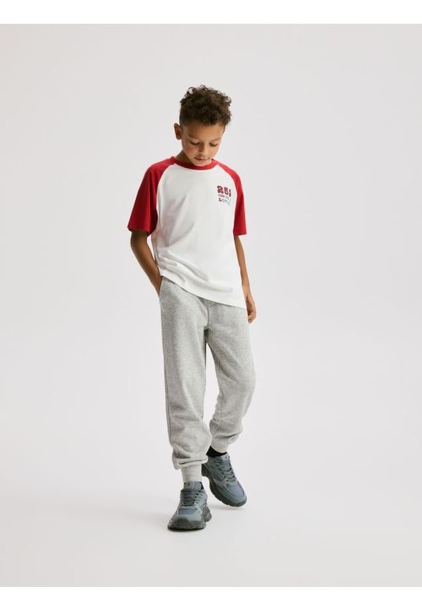 Reserved - T-shirt z nadrukiem - złamana biel. Materiał: bawełna, dzianina. Wzór: nadruk