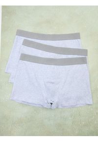 Sinsay - Bokserki Classic 3 pack - szary. Kolor: szary