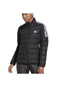 Adidas - Kurtka adidas Essentials Down Parka GH4593 - czarna. Kolor: czarny. Materiał: poliester, materiał, puch, syntetyk. Styl: klasyczny, elegancki