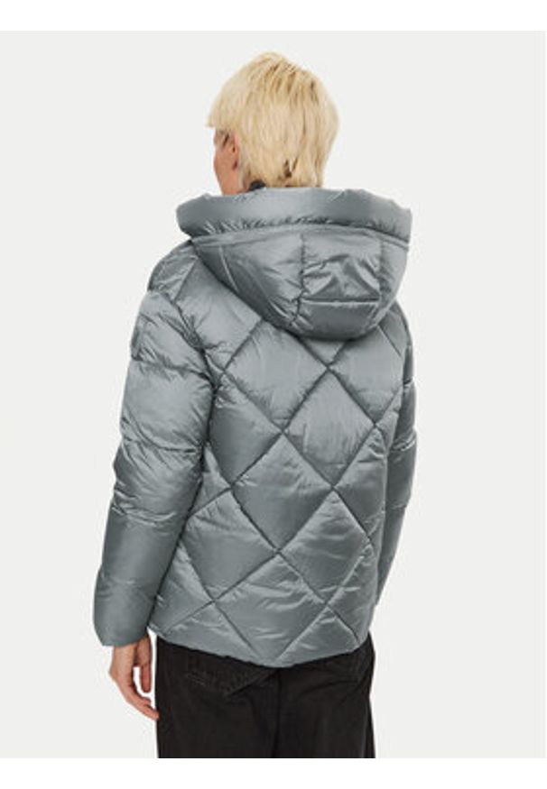Blauer Kurtka zimowa 24WBLDC02273 Szary Regular Fit. Kolor: szary. Materiał: syntetyk. Sezon: zima