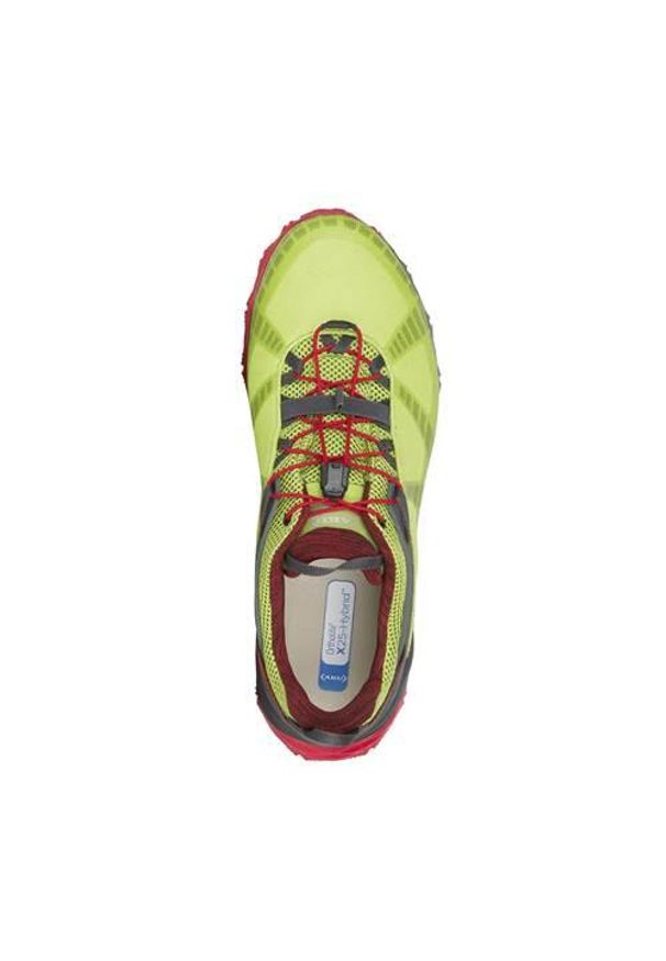Buty trekkingowe męskie Aku Flyrock Gtx. Kolor: wielokolorowy. Materiał: syntetyk, materiał. Szerokość cholewki: normalna