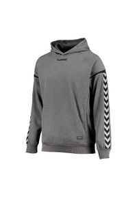 Dziecięca bluza z kapturem Hummel auth charge poly. Typ kołnierza: kaptur. Kolor: szary, niebieski, wielokolorowy #1