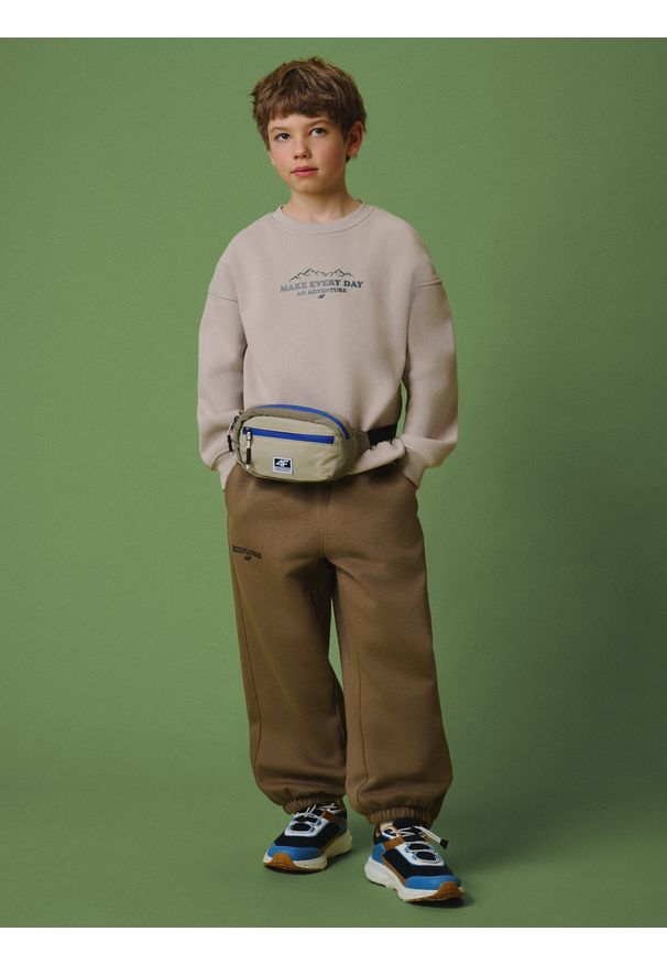 4f - 4F Bluza dresowa loose bez kaptura chłopięca - beżowa 146/152 (10-12 lat). Okazja: na co dzień, na uczelnię. Typ kołnierza: bez kaptura. Kolor: beżowy. Materiał: dresówka. Sezon: lato. Styl: casual, klasyczny