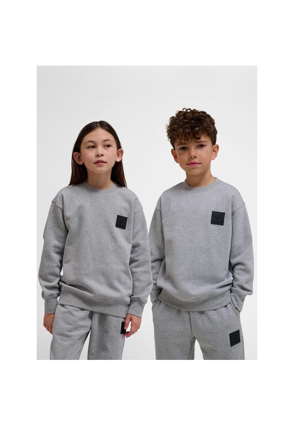 Bluza dziecięca Hummel hmlCLEAN. Kolor: szary