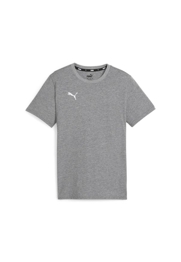 Koszulka dla dzieci Puma Team Goal. Kolor: szary. Sport: piłka nożna