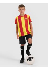 4f - 4F Koszulka klubowa domowa z sezonu 2025/26 dziecięca 4F x Korona Kielce - multikolor 122/128 (6-8 lat). Okazja: do domu. Kolor: wielokolorowy. Materiał: włókno, dzianina. Długość: długie. Sezon: lato. Styl: klasyczny, sportowy