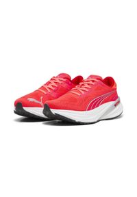 Buty do biegania Dorosły Puma Magnify Nitro 2 róża. Kolor: czerwony, niebieski, wielokolorowy, różowy. Sport: bieganie #1