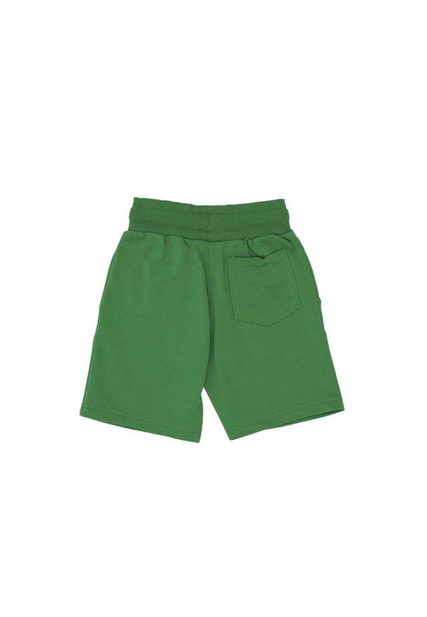 LEONE 1947 APPAREL - Podstawowe dziecięce bermudy polarowe z małym logo. Okazja: na uczelnię. Kolor: zielony. Materiał: polar. Styl: sportowy. Sport: joga i pilates