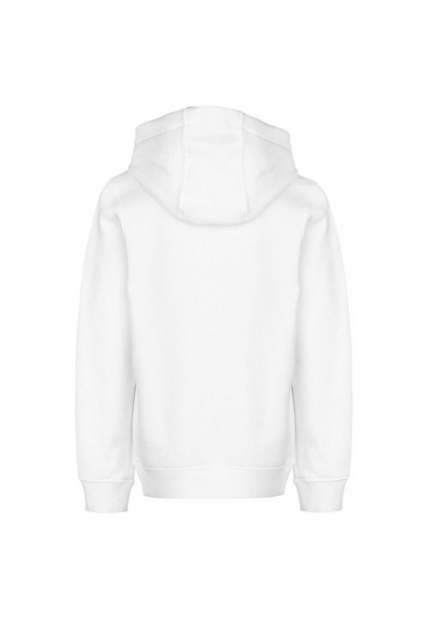 Nike - Bluza Z Kapturem Park 20 Fleece Dla Dzieci/Kids. Typ kołnierza: kaptur. Kolor: biały