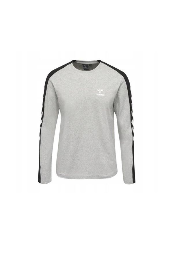 Koszulka z długim rękawem Hummel HML Flint T-Shirt. Kolor: szary. Długość rękawa: długi rękaw. Długość: długie
