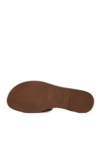 Beverly Hills Polo Club Klapki EO-HY6692-3 Brązowy. Kolor: brązowy. Materiał: materiał #9